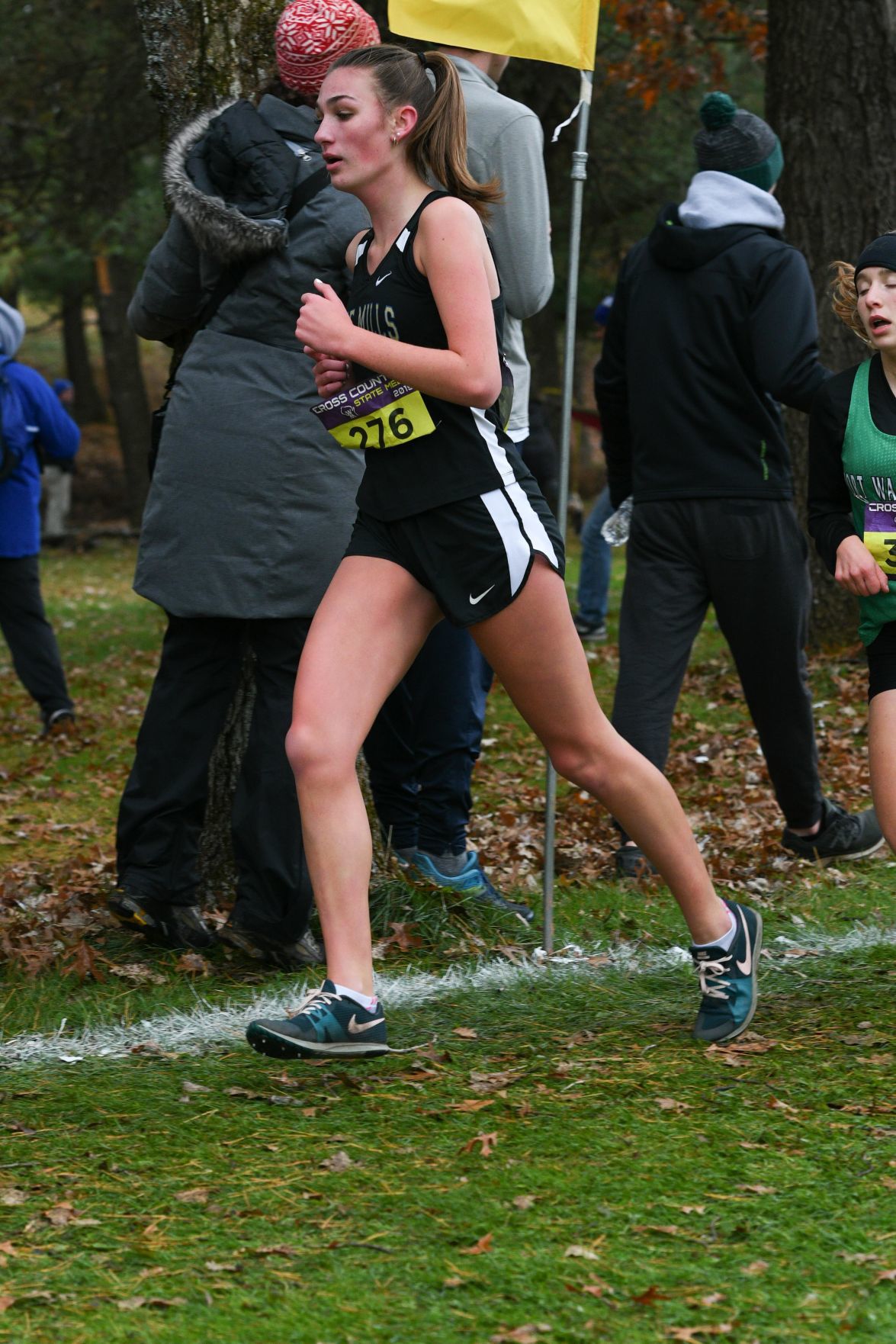 WIAA state cross country photo: Reese Willie, Lake Mills
